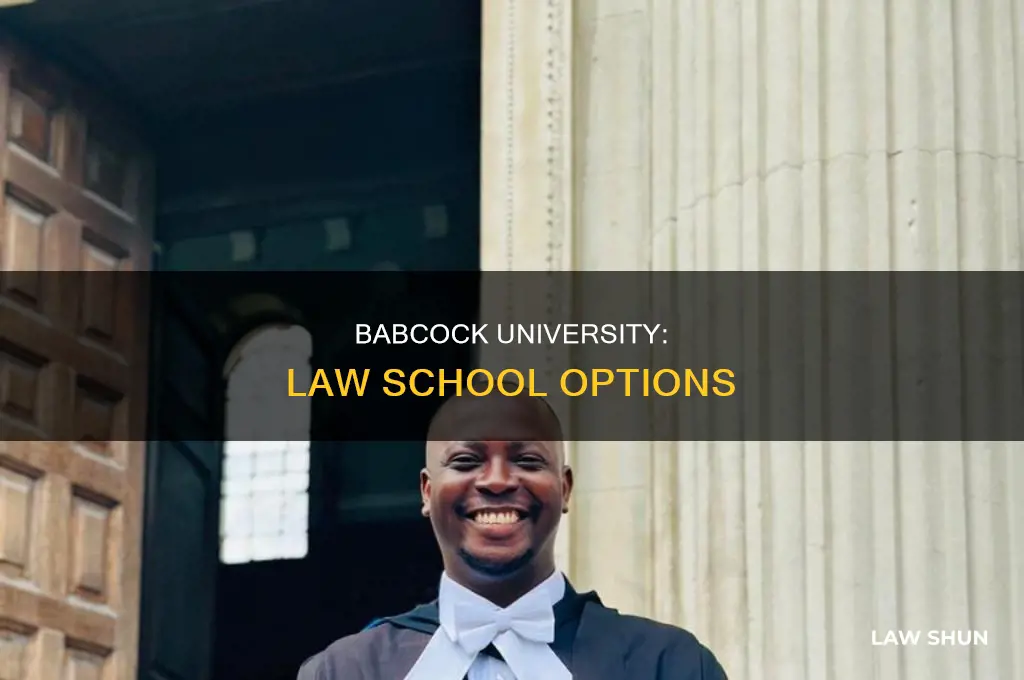 does babcock university offer law