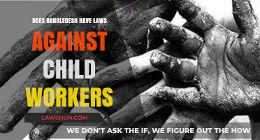 Bangladesh's Legal Stance on Child Labor: Laws and Enforcement Explained