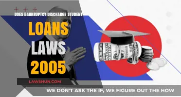 Can Bankruptcy Discharge Student Loans Under 2005 Laws?