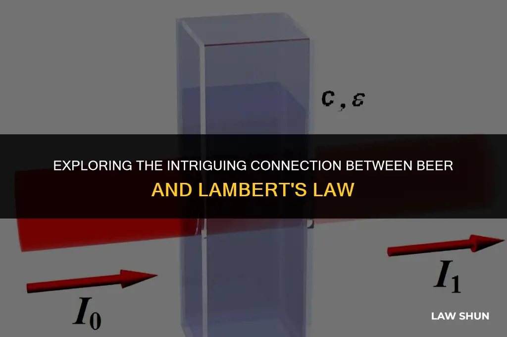 does beer and beer lambert law