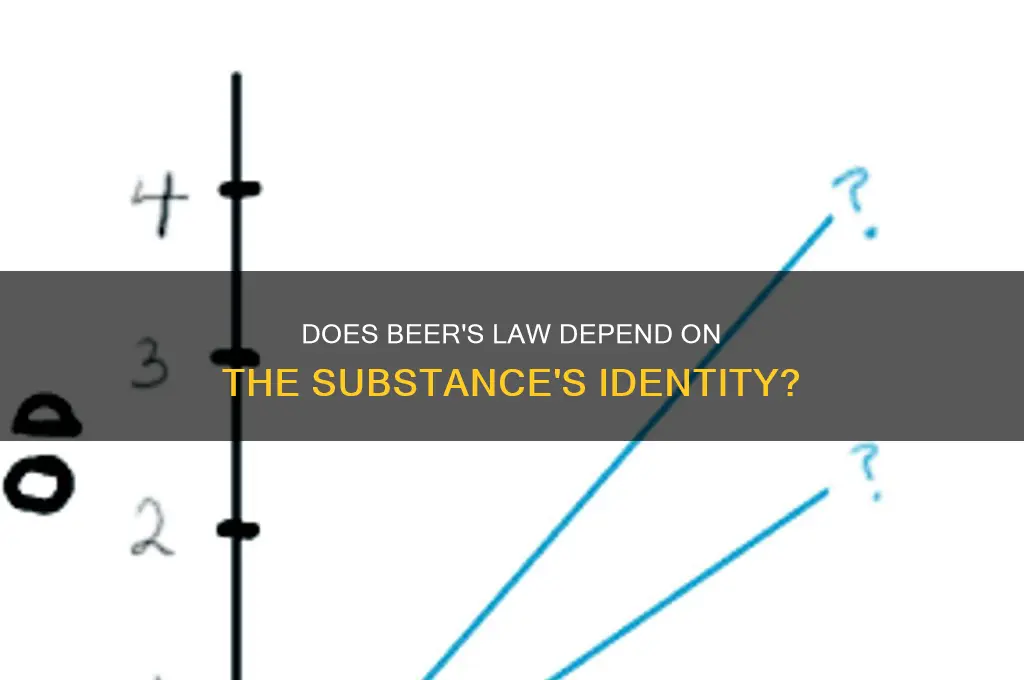 does beer