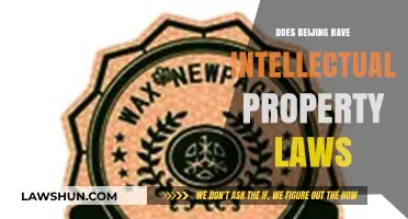 Beijing's Intellectual Property Laws: Understanding Legal Protections in China