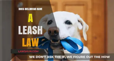 Exploring Bellmead's Leash Law: A Comprehensive Guide for Pet Owners