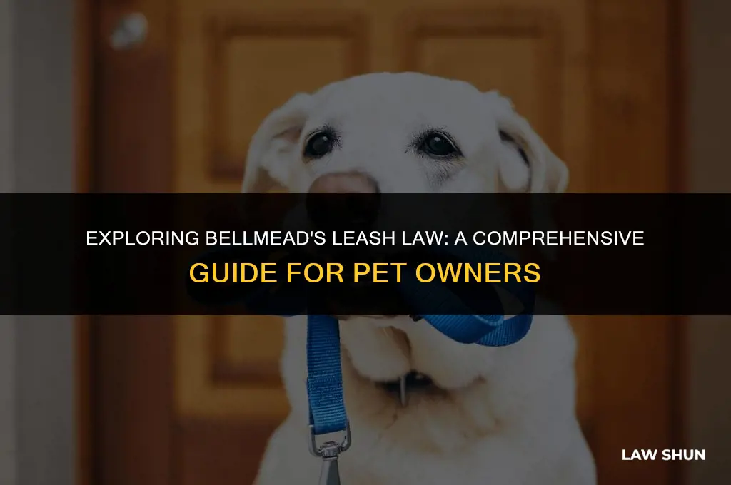 does bellmead have a leash law