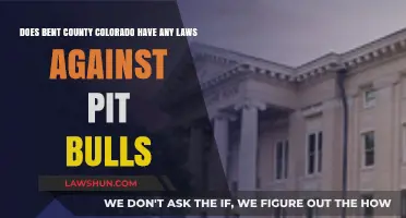 Pit Bull Laws in Bent County, Colorado: What You Need to Know