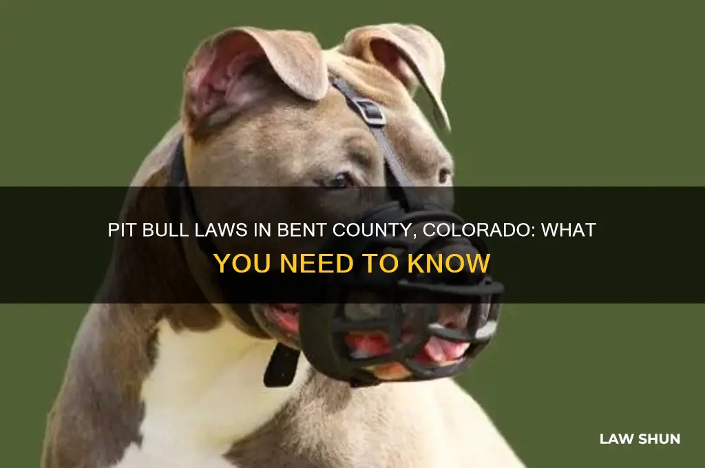 does bent county colorado have any laws against pit bulls