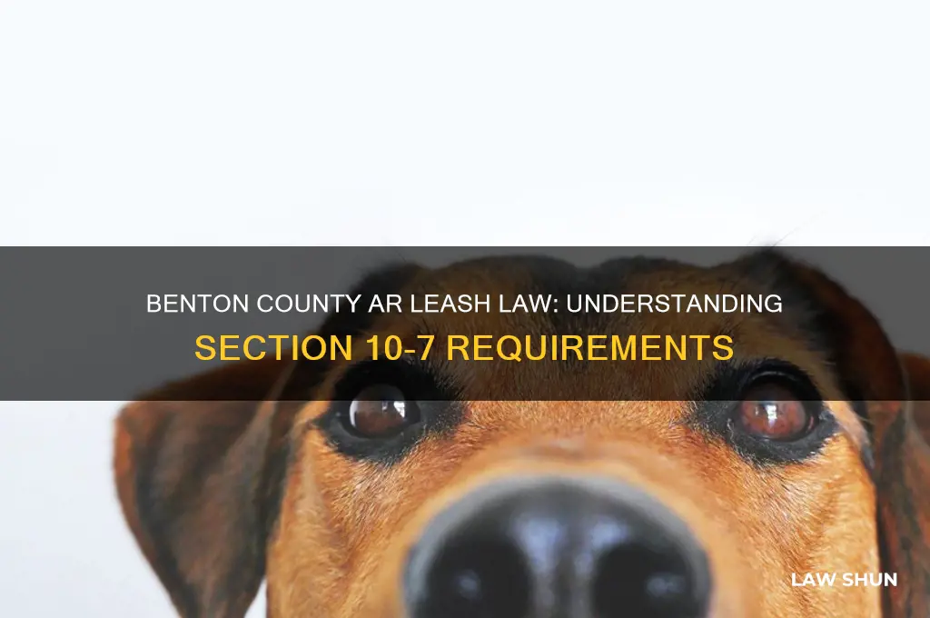 does benton county ar have a leash law sec 10-7