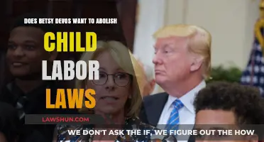 Betsy DeVos and the Future of Child Labor Laws: What's at Stake?