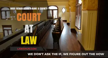 Does Bexar County Have a County Court at Law?