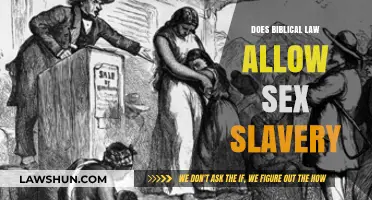 Examining Biblical Law: Perspectives on Sex Slavery