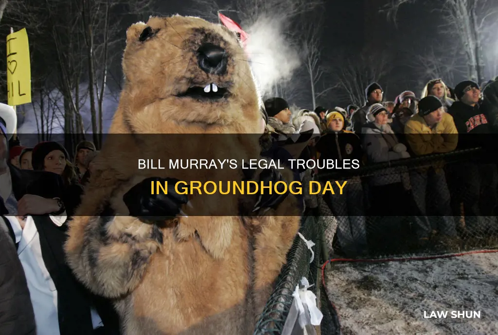 does bill murray break a bunchof laws ingroundhog day movie