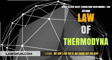 Black Body Radiation and the Second Law: A Thermodynamic Paradox?