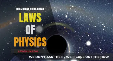 Black Holes: Breaking Laws of Physics?