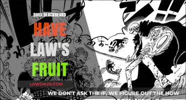 Blackbeard's Quest: The Mystery of Law's Fruit Unveiled