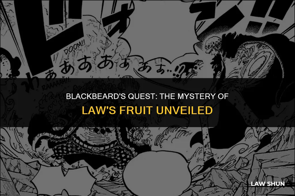 does blackbeard have law
