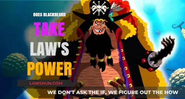Blackbeard vs. Law: Did Teach Absorb Trafalgar's Power?