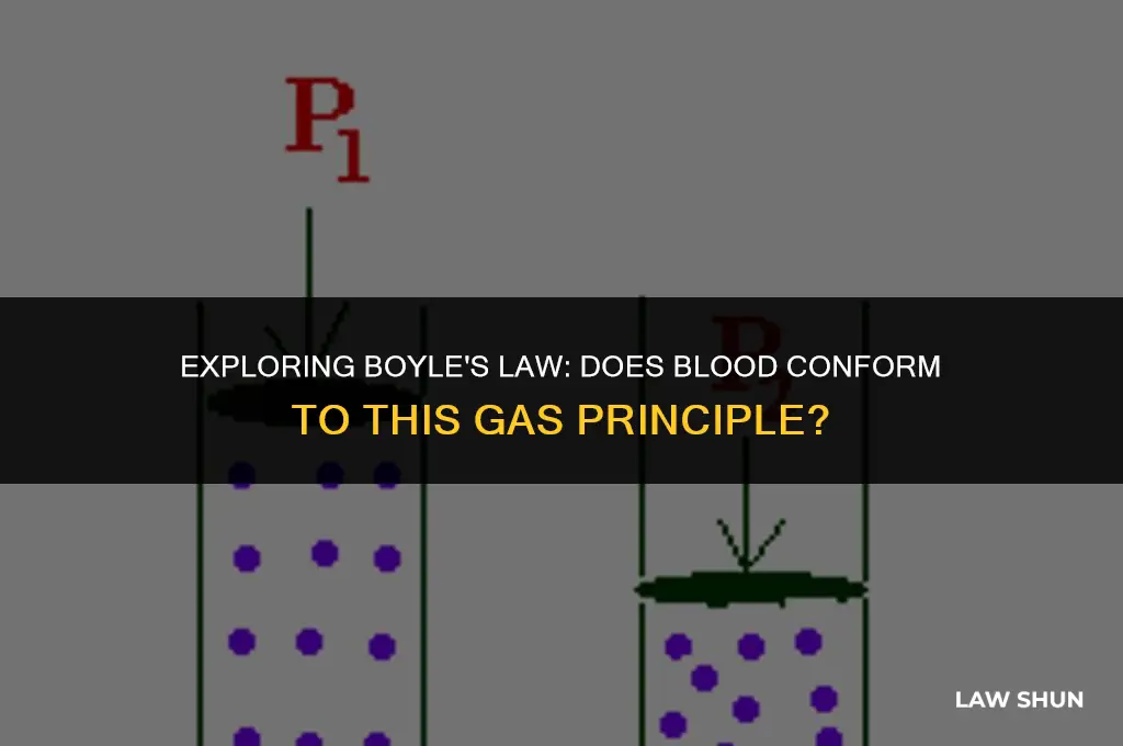 does blood obey boyle