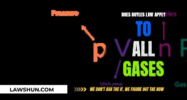 Boyles Law: Universal Gas Behavior Explained