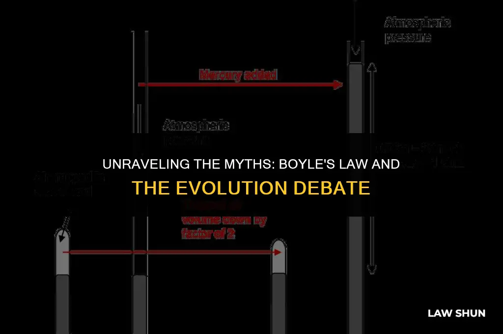 does boyle