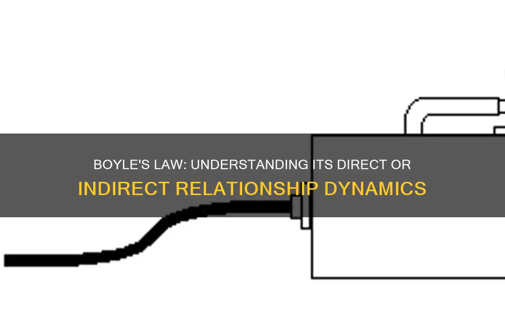 does boyle