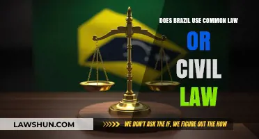 Brazil's Legal System: Civil or Common Law?