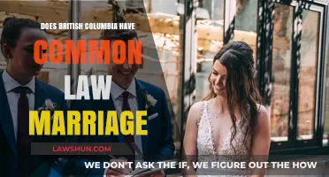 Common-Law Marriage in British Columbia: What's the Law?