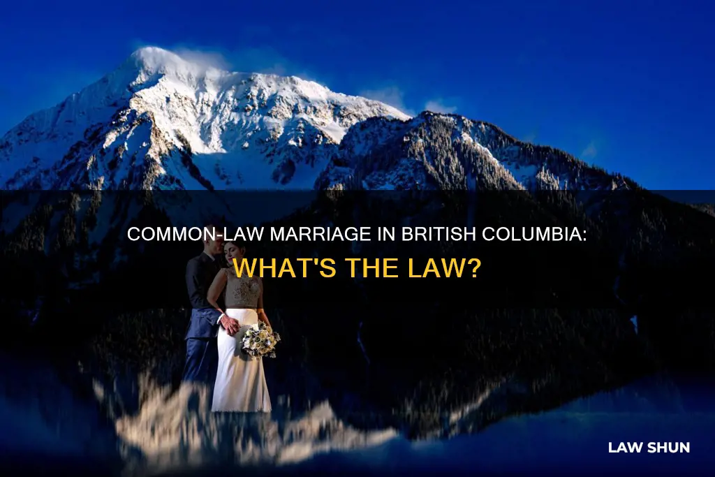 does british columbia have common law marriage