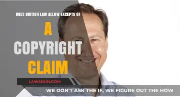 Understanding UK Copyright Law: Are Exceptions to Claims Permitted?
