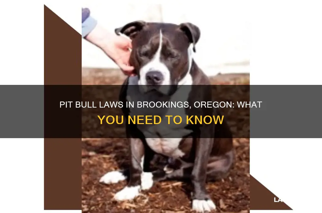 does brookings oregon have any laws concerning pit bull dogs