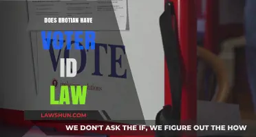 Does Brotian Require Voter ID? Exploring the Current Election Laws