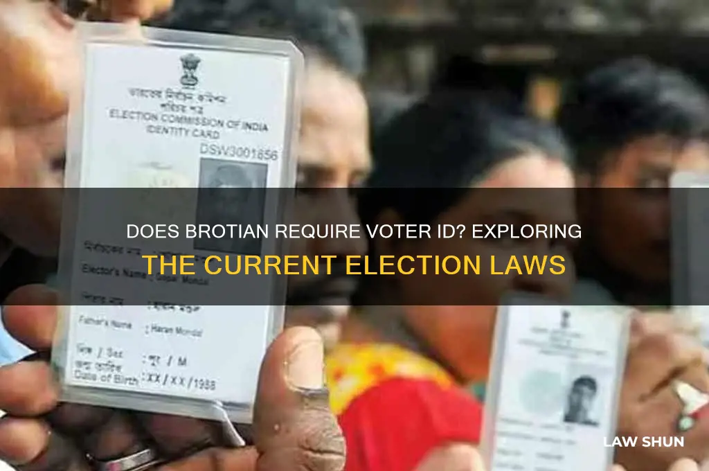 does brotian have voter id law