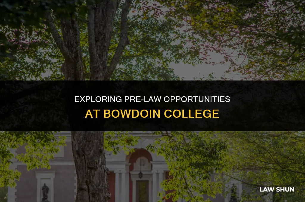 does browdoin college offer pre law