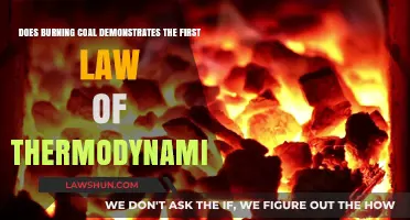 How Coal Burning Confirms the First Law of Thermodynamics