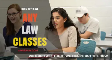 Exploring Buyi's Educational Offerings: Are Law Classes Available?