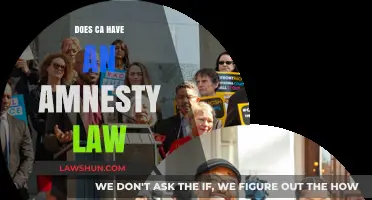 Exploring California's Amnesty Laws: A Comprehensive Guide