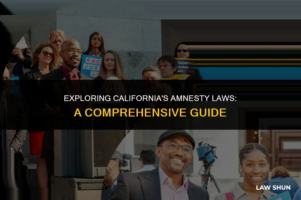 does ca have an amnesty law