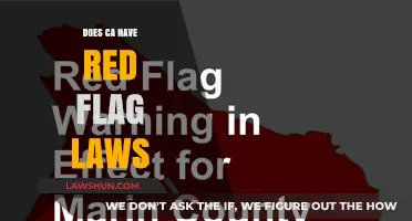 Understanding California's Red Flag Laws: A Comprehensive Guide