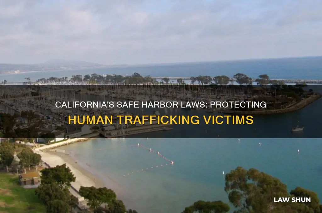 does ca have safe harbor laws for human trafficking victims