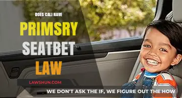 Exploring California's Primary Seatbelt Law: Facts and Myths