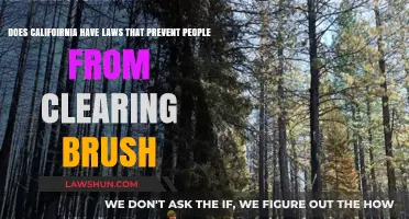 California Brush Clearing Laws: What You Need to Know