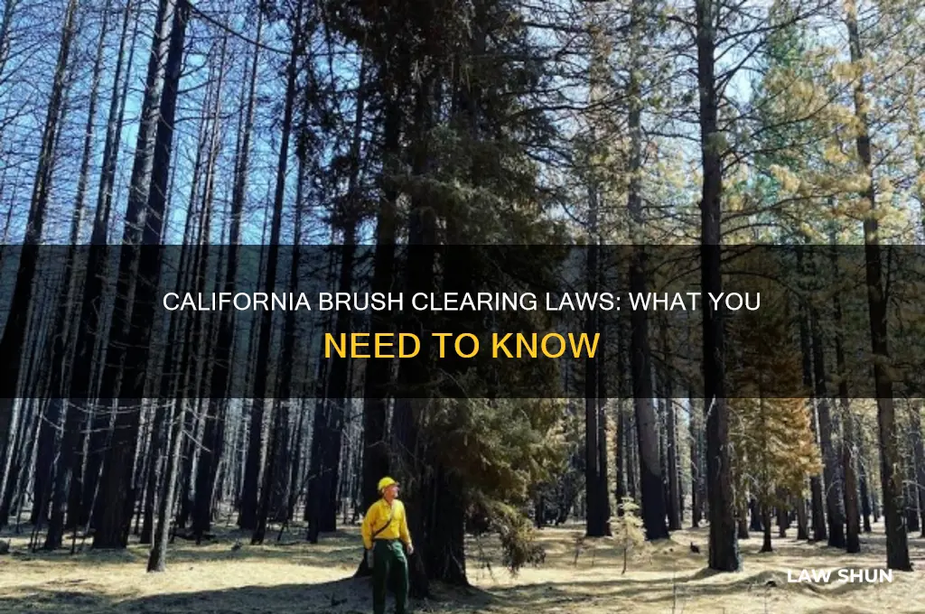 does califoirnia have laws that prevent people from clearing brush