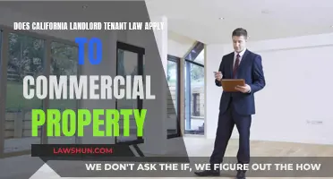 California Landlord-Tenant Law: Commercial Property Rules Explained