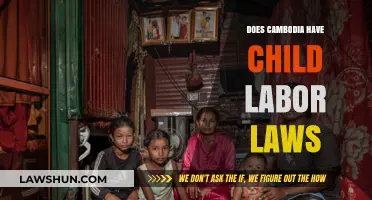 Cambodia's Child Labor Laws: Protections, Challenges, and Enforcement Efforts
