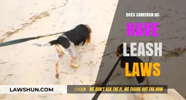 Exploring Cameron, NC: Understanding Local Leash Laws for Pet Owners