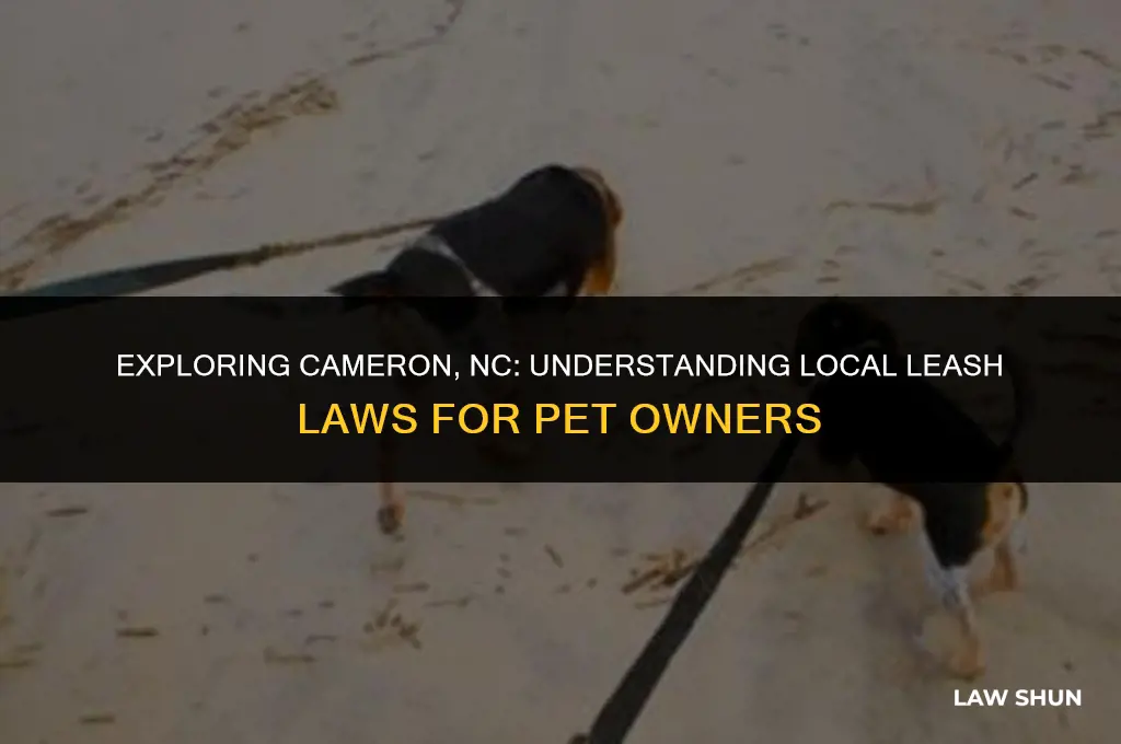 does cameron nc have leash laws