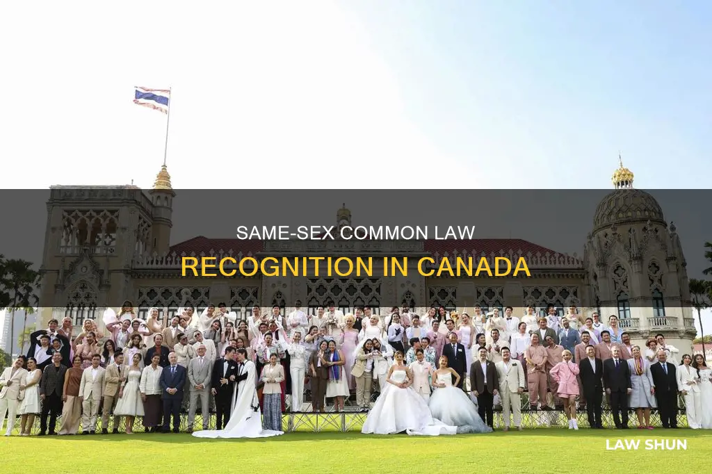 does cana recognize same sex common law