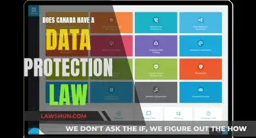 Canada's Data Privacy Law: What You Need to Know