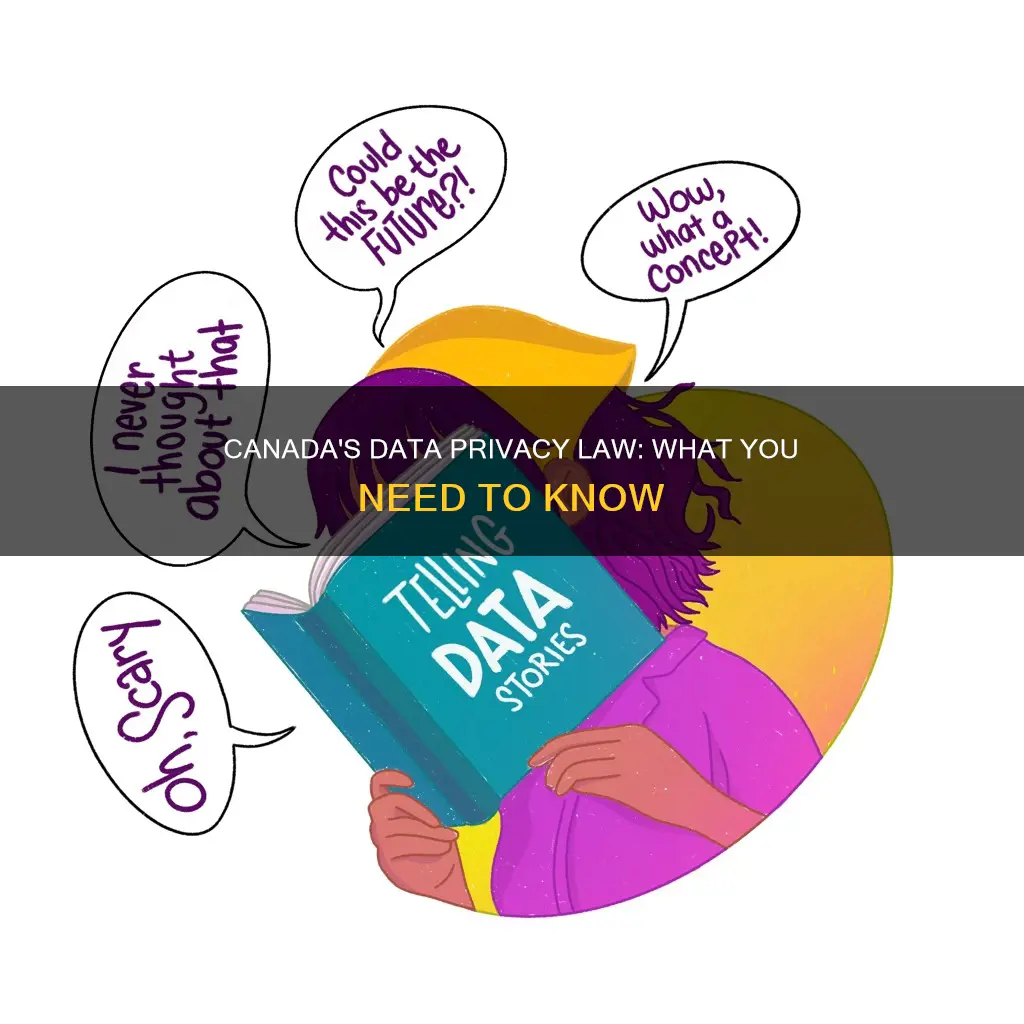 does canada have a data protection law