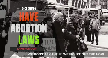 Canada's Abortion Laws: What You Need to Know