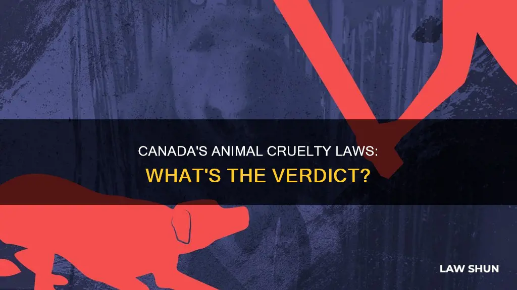 does canada have animal cruelty laws